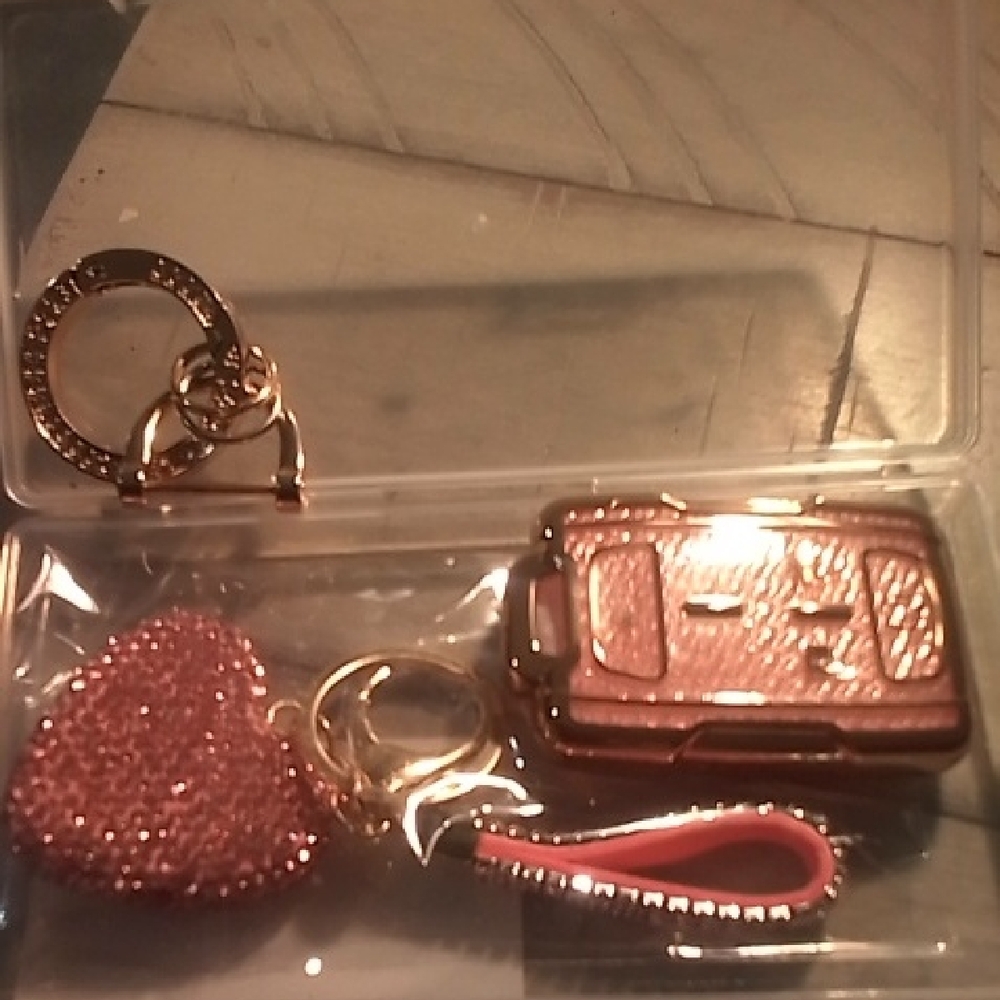 Pink and Gold Keychain Set